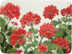 Spring Dish Drying Mat for Kitchen Counter Geranium Summer Floral Absorbent by Unknown