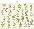 Cute Herbs Botanic Garden Plants Dish Drying Mat by Unknown