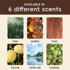 Car Air Freshener Natural Essential Oil Scent, Odor Eliminator and Purifier - Image 5