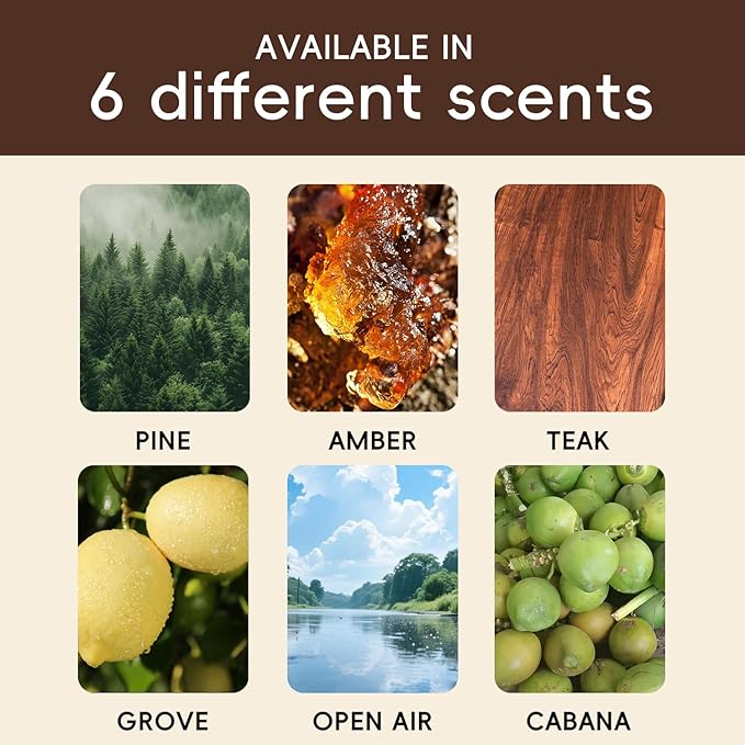 Car Air Freshener Natural Essential Oil Scent, Odor Eliminator and Purifier - Image 4