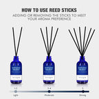 Reed Diffuser Set for Home| 3.7 Oz Hawaiian Holiday Fragrance Diffuser | - Image 4