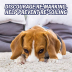 Resolve Ultra Pet Odor and Stain Remover Spray – Carpet Cleaner - Image 8