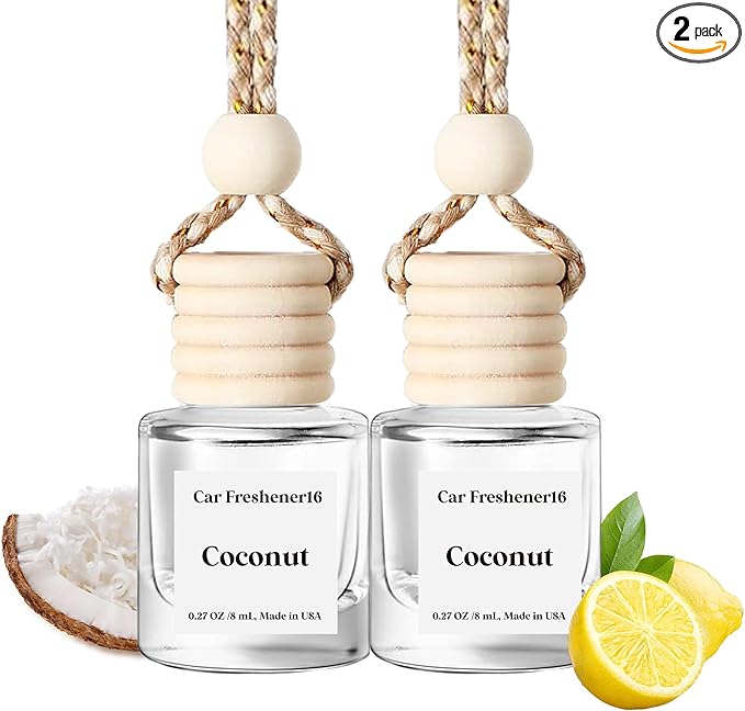 Car Air Freshener Hanging, Cute Air Diffuser by BurstBird