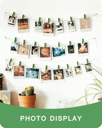 Mini Clothes Pins Wooden Colored Green Small Clothespins - Image 7