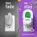 Febreze Plug in Air Fresheners, Mediterranean Lavender, Odor Eliminator - Image 5