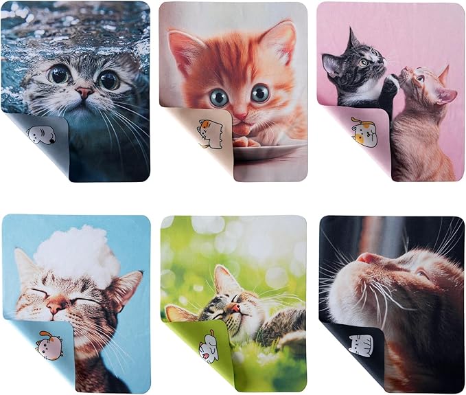 Anywind Microfiber Glasses Cleaner Cloth, Cute Cat Cleaning Clothes - Image 3