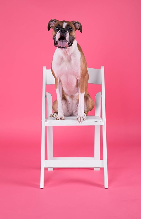 Flash Furniture Hercules™ Series Folding Chair - White Resin - 1000LB Weight Capacity Comfortable Event Chair - Light Weight Folding Chair - Image 19