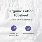 Rael Disposable Underwear for Women, Organic Cotton Cover - Image 3
