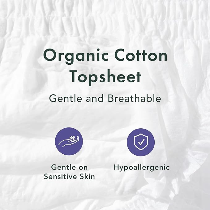 Rael Disposable Underwear for Women, Organic Cotton Cover - Image 3