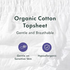 Rael Disposable Underwear for Women, Organic Cotton Cover - Image 3