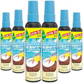 LITTLE TREES Car Air Freshener | Spray Provides a Long-Lasting Scent by LITTLETREES