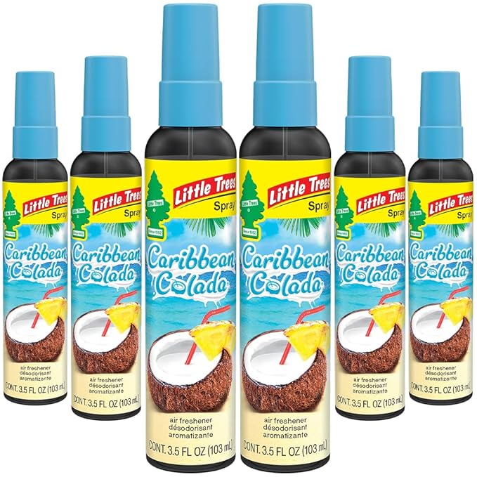LITTLE TREES Car Air Freshener | Spray Provides a Long-Lasting Scent by LITTLETREES
