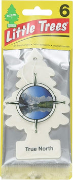 Little Trees Car Air Freshener 6-Pack by LITTLETREES