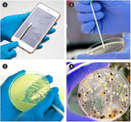 Bacteria Science Kit Petri Dishes - Image 3