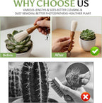 Cactus Plants Cleaning Brushes, Wooden Handles - Image 4