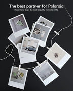 Clothes Pins Mini Clothespins White - Image 7