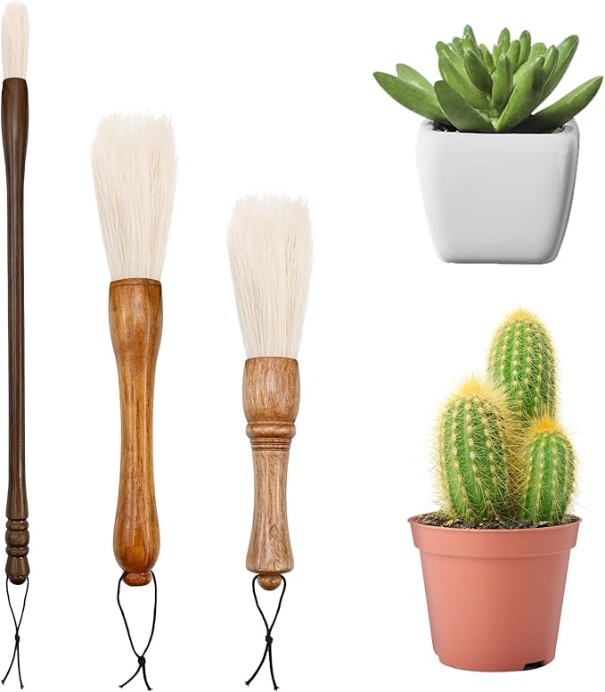 Cactus Plants Cleaning Brushes, Wooden Handles by Unknown