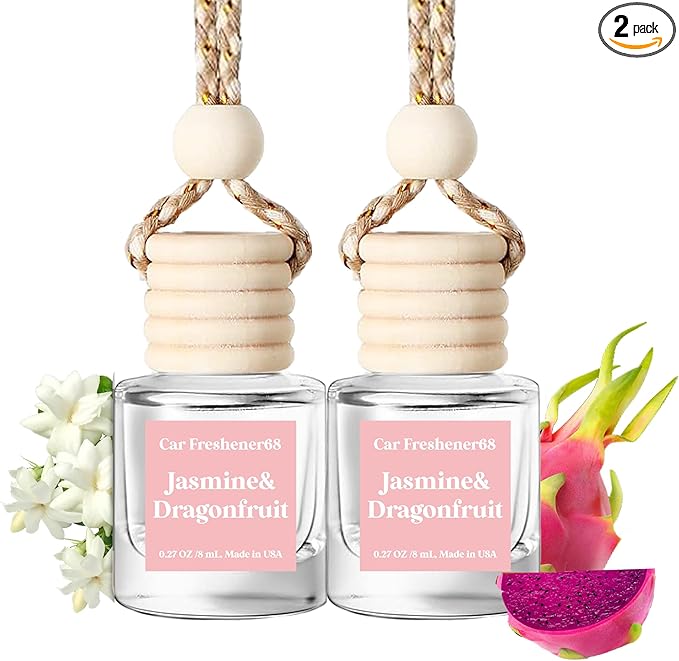Car Air Freshener Hanging, Cute Air Diffuser by BurstBird