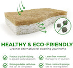 Biodegradable Natural Kitchen Sponge - Image 4