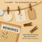 LWR CRAFTS Wooden Mini Clothespins 100 Per Pack 1" 2.5cm - Image 7