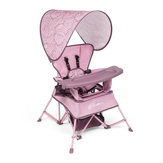 Baby Delight Go with Me Venture Portable Chair | Indoor and Outdoor | Sun Canopy | 3 Child Growth Stages | Canyon Rose by BabyDelight
