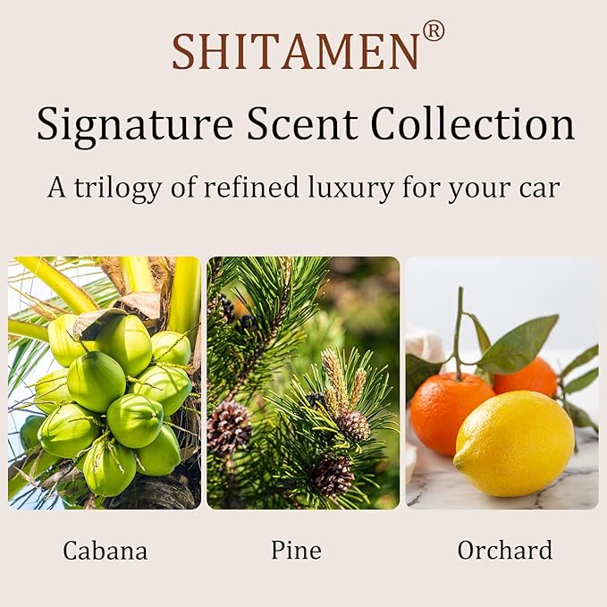 Car Air Freshener, Wood Air Freshener, Car Odor Eliminator - Image 2