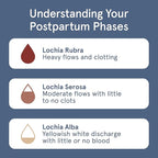 LOLA Organic Cotton Postpartum Pads - Image 5