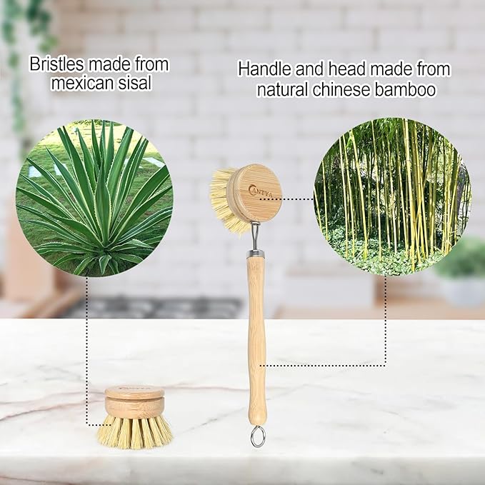 Bamboo Dish Brush with Handle - Image 3