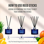 Reed Diffuser Set, 6.7 Oz Hawaiian Holiday Scented Reed Diffuser, Home - Image 2