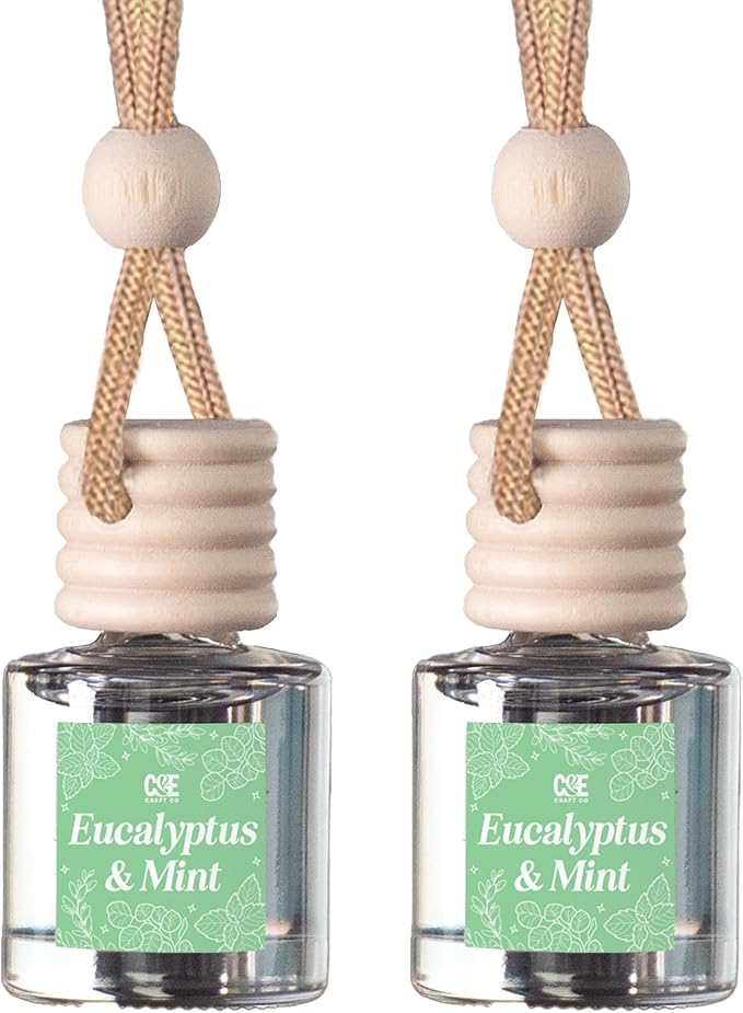 C&E Craft Co Hanging Car Air Freshener Diffuser 2 Pack, Long Lasting Fragrance by CECraftCompany