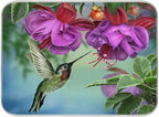 Spring Hummingbird Printed Dish Drying Mat by OTVEE
