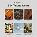 Car Air Freshener, 2-in-1 Stone Car Freshener - Image 7