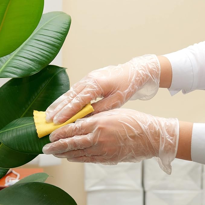 Schneider Clear Vinyl Exam Gloves, Latex-Free, Disposable Medical Gloves - Image 7