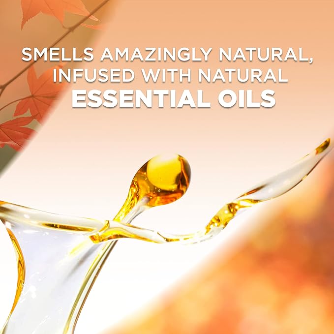 Air Wick Plug in Scented Oil Refill, Pumpkin + Brown Sugar Mixed Pack, Fall - Image 4