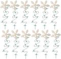 ​DrainWig Shower Drain Hair Catcher – Disposable White Flower – No-Touch Hair by DrainWig