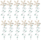 ​DrainWig Shower Drain Hair Catcher – Disposable White Flower – No-Touch Hair by DrainWig
