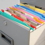 party greeting 8 Pack File and Folder Dividers 9x11.4 Inches Plastic Hanging - Image 5