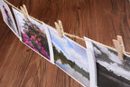COOLAKE Wooden Clothes Pins 1.38 Inch 100 Pack Mini Photo Paper Peg Clips - Image 5