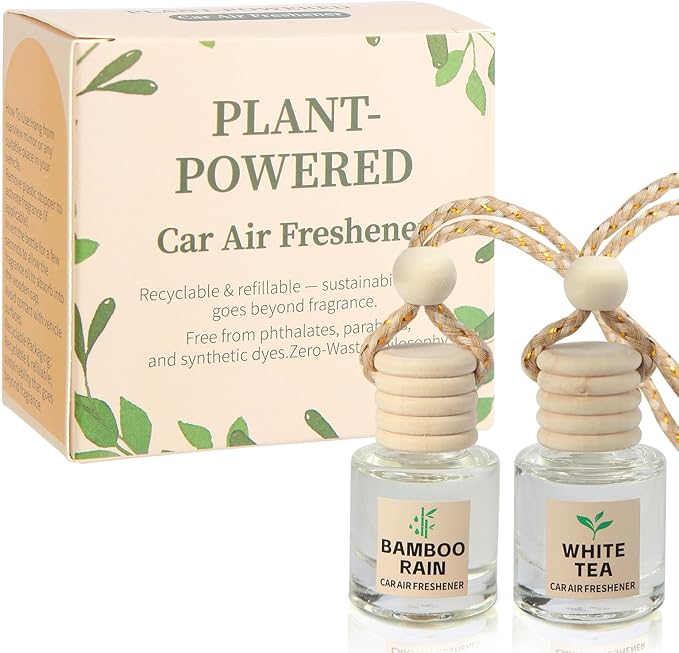 Car Air Freshener Oil Diffuser by OrganizeItSimplifyYourSpac