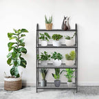 Plant Stand, 4 Tier Plant Shelf for Indoor Outdoor, Heavy Duty Metal Tall Plant Stands Holder Rack for Living Room Balcony and Garden, Black - Image 2