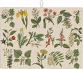 Plants Herbs Floral Dish Drying Mats by Unknown