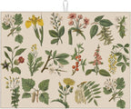 Plants Herbs Floral Dish Drying Mats by Unknown