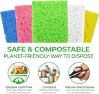 Compressed Cellulose Sponges - Image 7