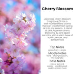 HoogaLife Car Air Freshener Diffuser 2 Pack Hanging Cherry Bloom Car Air - Image 2