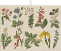 Plants Herbs Floral Dish Drying Mats by Unknown