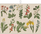 Plants Herbs Floral Dish Drying Mats by Unknown