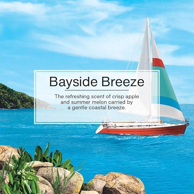 Little Trees Cardboard Hanging Car, Home & Office Air Freshener, Bayside Breeze - Image 5