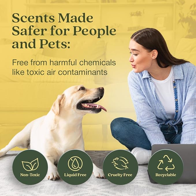 Enviroscent Non-Toxic Air Freshener Paper Refills - Image 2