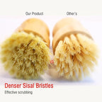 Natural Bristle Dish Brush Set, 1 Wooden Dish Brush and 1 Bamboo Dish Brush - Image 6