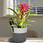 Cotton Rope Hanging Baskets for Organizing 2 Pcs Round Small Wall Basket - Image 9